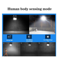 Human Body Sensing Solar Flood Light (30W) - 6 Pack