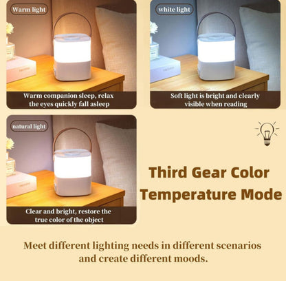 Touch LED Desk Lamp - USB-C Rechargeable - Dimmable Light Modes