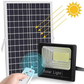 Solar Ecomlight 100W IP67